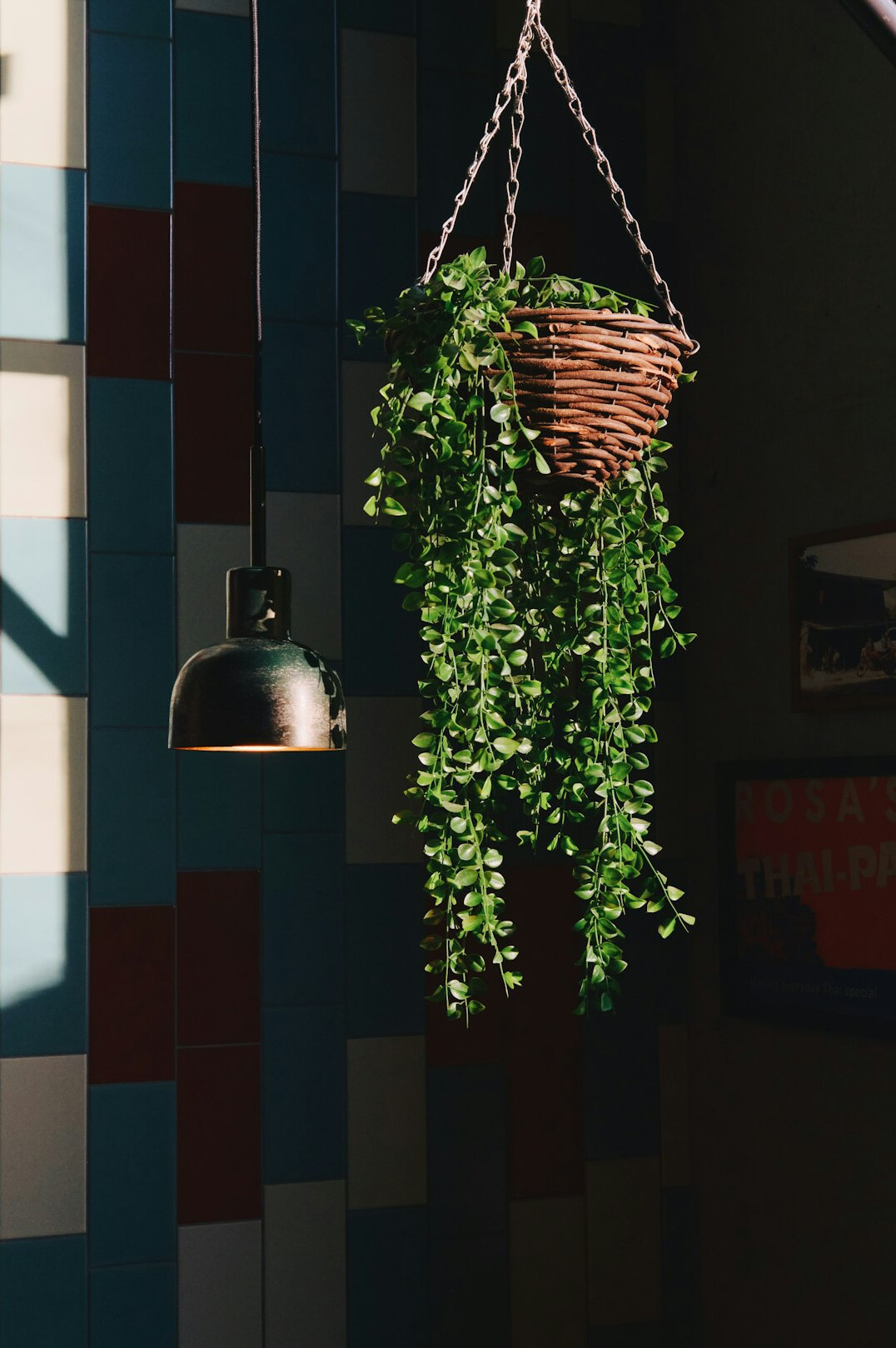 hanging herb pots indoors