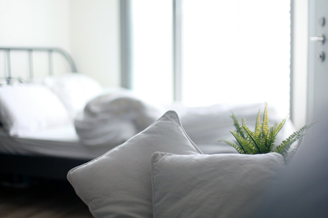 houseplant near window