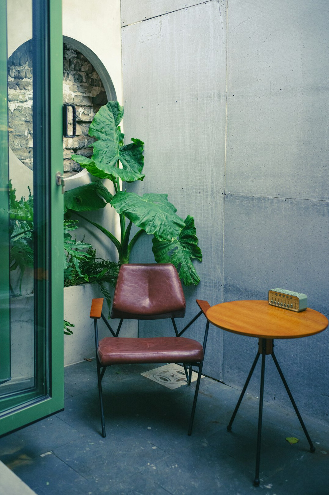 peaceful indoor plant corner