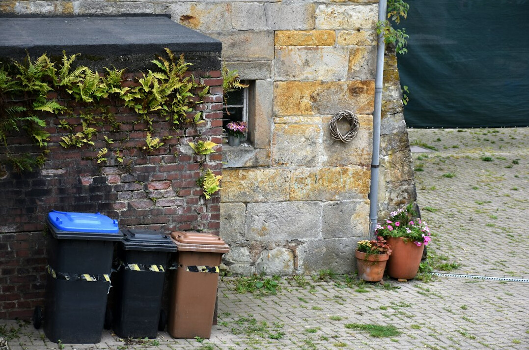 herbs in recycled containers